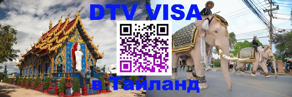 Оформление DTV визы под ключ: стоимость и тарифы, только загранпаспорт - 